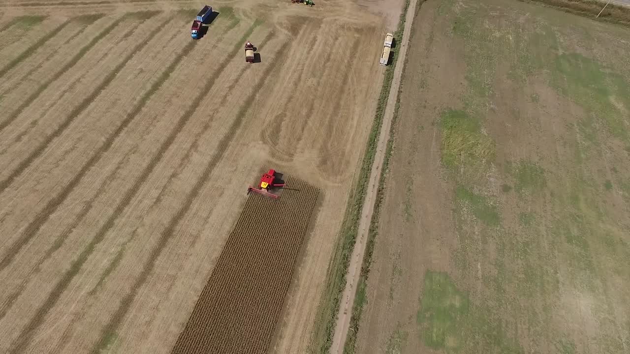 Aerial drone footage of a harvester working in a field harvesting crop