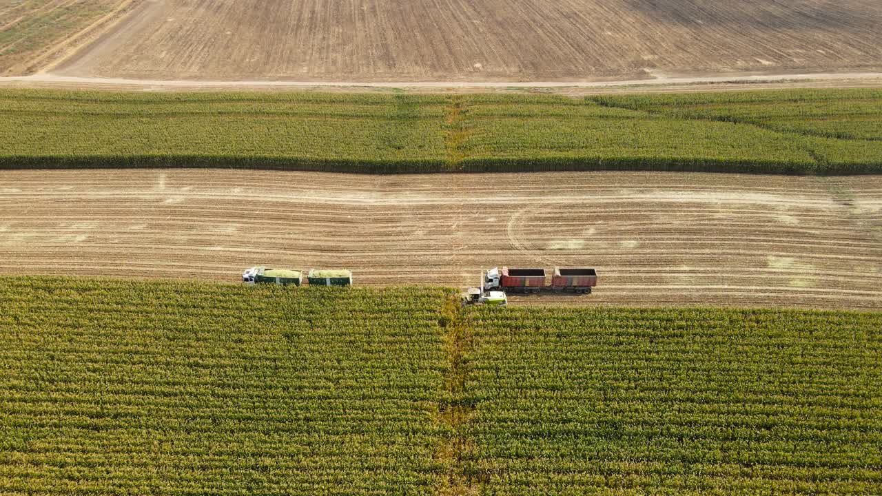 Tractors and agricultural machinery harvesting corn in the summer, a breathtaking aerial view.
Israeli agriculture