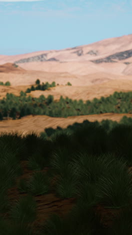 serene desert landscape with lush grass