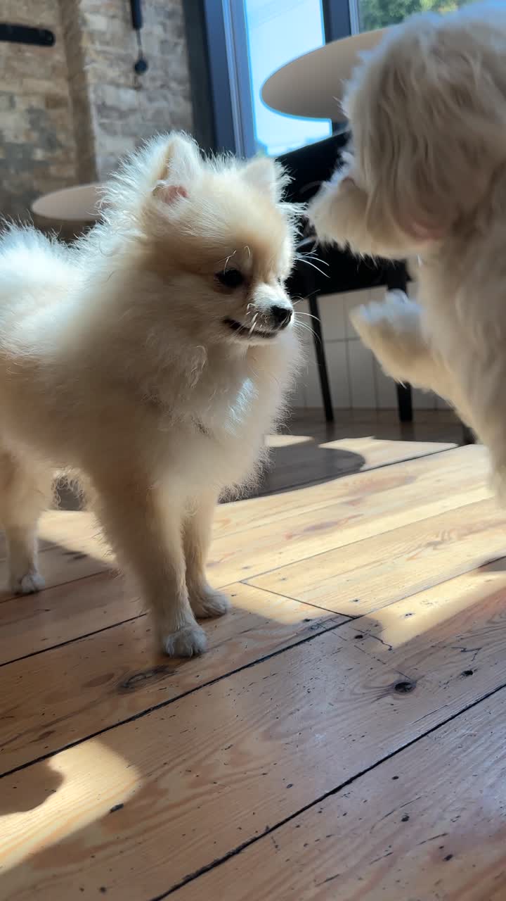 두 개가 상호 작용하고 있습니다.