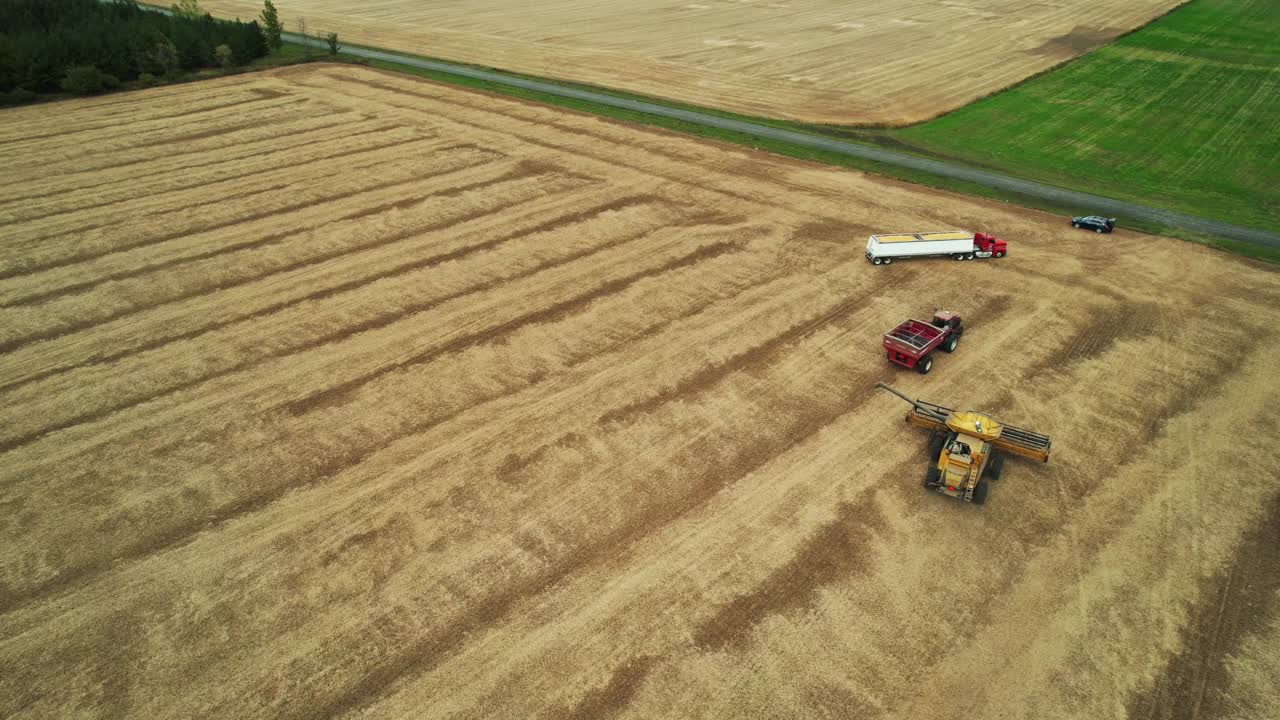 위스콘신 의 한 수확 공장 은 소야 콩 을 열려 있는 트레일러 에 옮긴다
