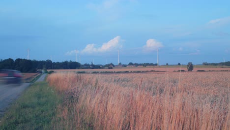 time lapse of ripe golden wheat field and wind turbine farm producing renewable energy for green ecological world at beautiful sunset, wide shot