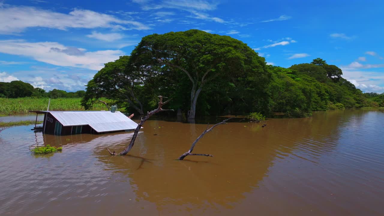 Casa inundada na planície do Rio Sepik Oriental, Papua Nova Guiné (Wosera Gawi LLG), após desastre natural. Vista aérea de drone (PNG Papua Niugini) com inundações de água barrenta em nível alto, sob céu azul ensolarado, na vila Kanganamun. Panorâmica para frente e para cima.
