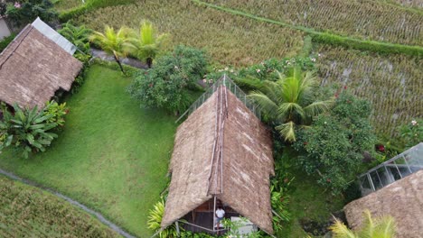 person sitting on veranda of a-frame thatched cottage hut amid rural rice paddy fields, bali