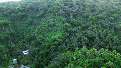 ascending over tropical forest mountains near rural village in baras, catanduanes, philippines