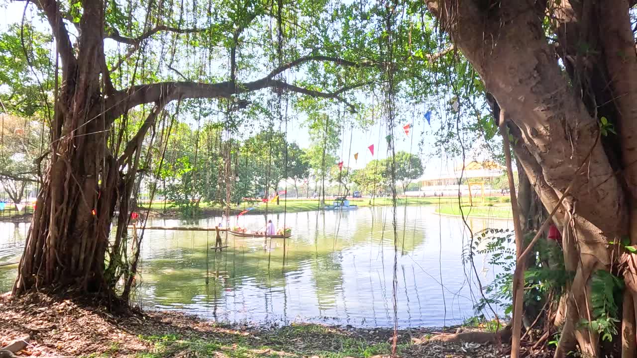 A tranquil scene of a large tree by a lake, with reflections and gentle movement in a sunlit park