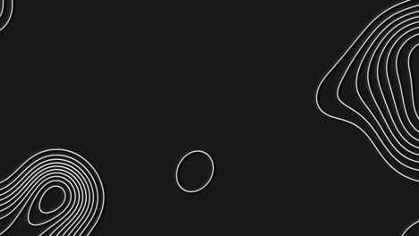 Abstract animated outline topographic contour map.