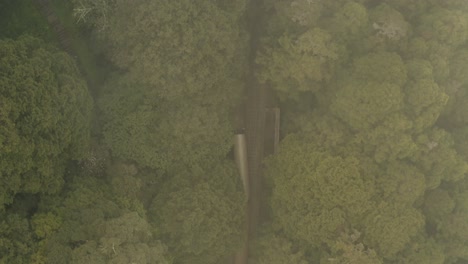 toma aérea siguiente de un tren de cercanías se mueve en el bosque en niebla