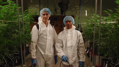 cannabis growers in a controlled environment