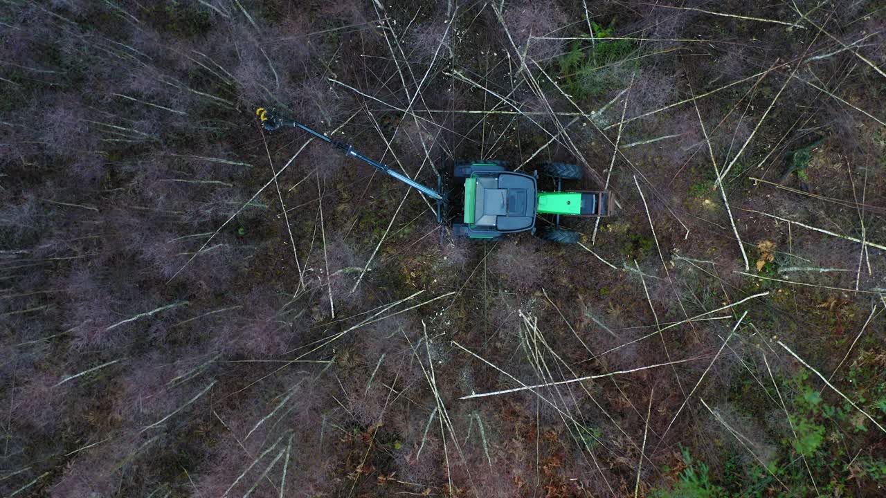 Bird eye view of green tractor cutting trees in forest