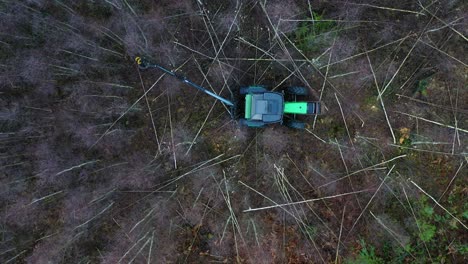 Bird-eye-view-of-green-tractor-cutting-trees-in-forest