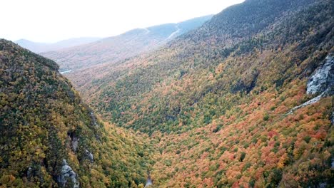aerial view flying through foliage of smugglers notch.