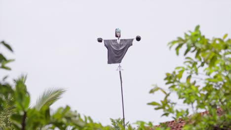 Scarecrow-standing-in-the-plant