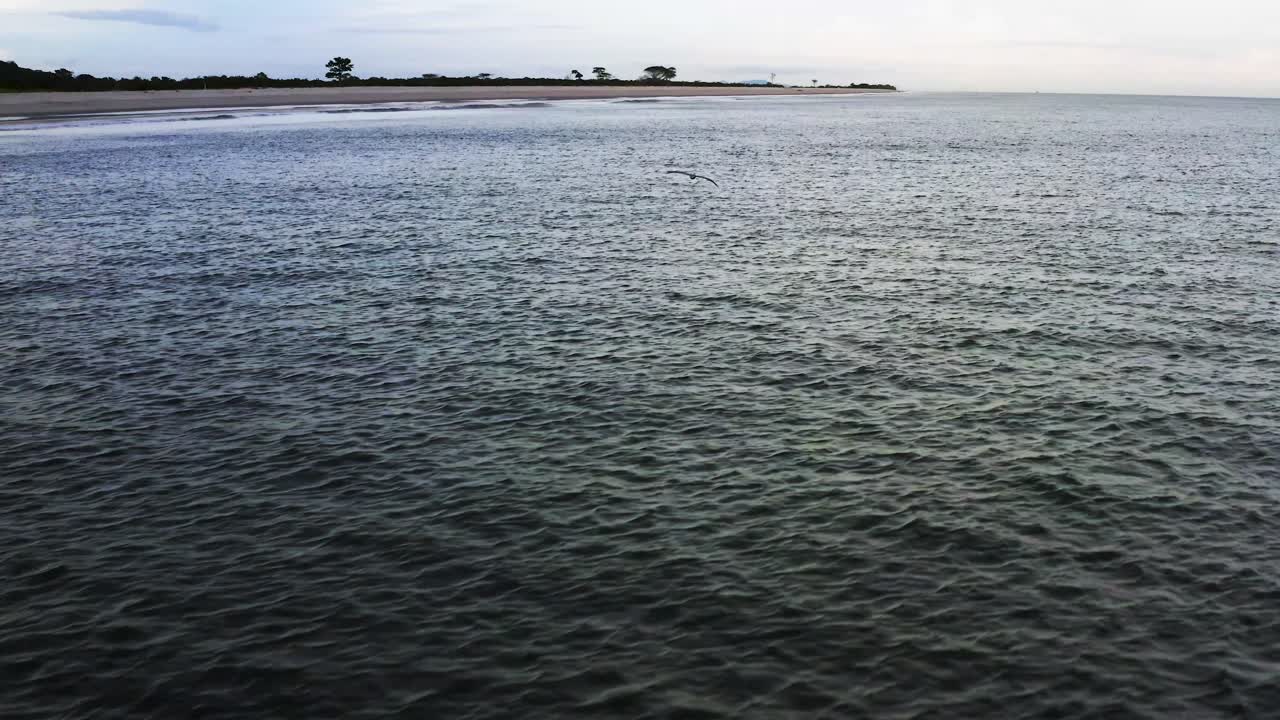 큰 황새를 추적하는 항공 보기, 섬 해안에서 물 위를 날아다니는 크레인 새