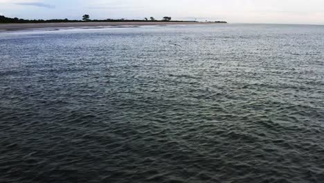 Aerial-view-tracking-large-stork,-crane-bird-flying-over-body-of-water-off-island-coast