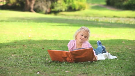 Young-girl-reading-a-book