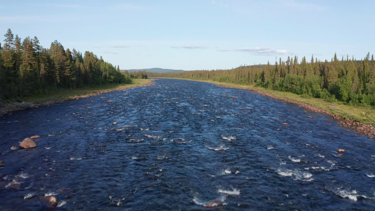 Droneskud af vild flod i Nordsverige omgivet af dyb skov