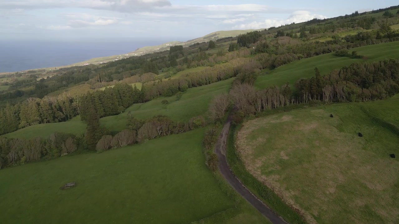 Luftfoto af frodige grønne marker, snoet vej og skovklædte bakker på Faial-øen