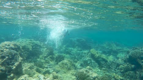 人類潛水器用翅膀在水下移動 珊瑚礁上的熱帶魚類加勒比海