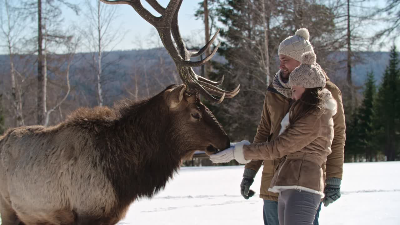 cita romántica de invierno en la naturaleza