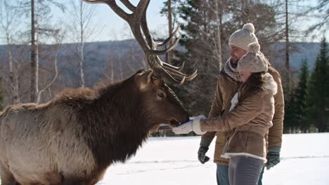 romantic winter date on nature