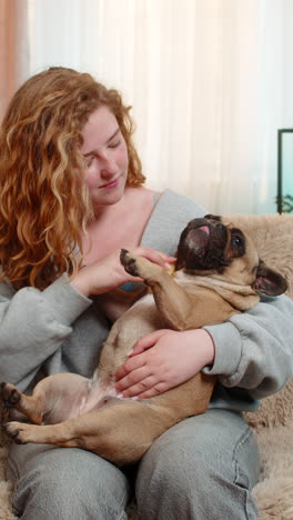 Young caucasian woman grooming pug dog with soft brush on home sofa pet enjoys tender relaxing care