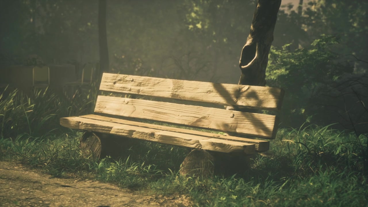 Sunlight filters through trees onto a serene park bench in a tranquil setting
