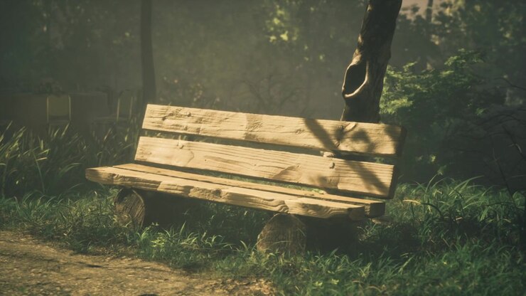 Sunlight filters through trees onto a serene park bench in a tranquil setting