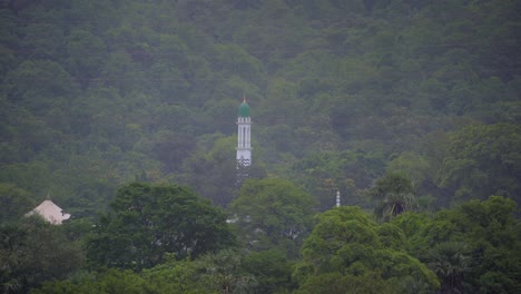 Vista-Superior-De-Darga-En-Vegetación