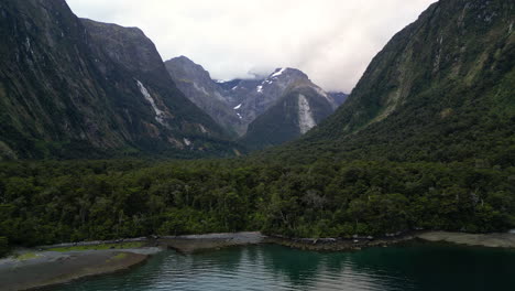 exuberante selva tropical templada en el fiordo - harrison cove, milford sound