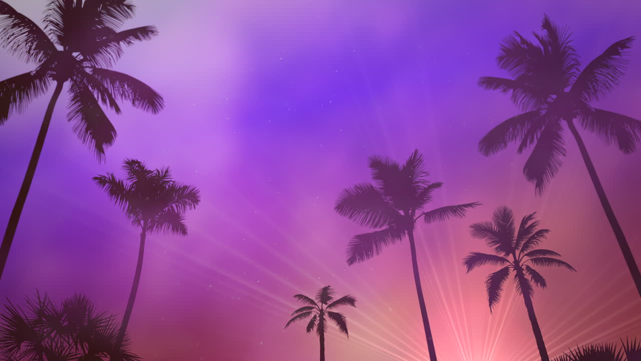 Panoramic view of tropical landscape with palm trees and sunset 4