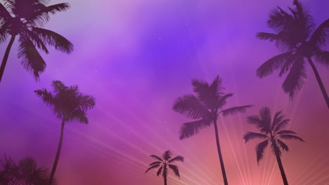 Panoramic-view-of-tropical-landscape-with-palm-trees-and-sunset-4