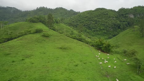 Eine-Antenne-über-Dem-Semuc-Champey-Fluss-In-Guatemala-2