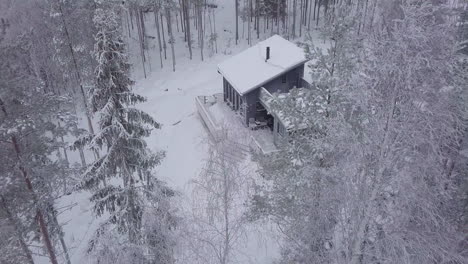 cabaña de invierno en medio del bosque nevado, vista de pájaro