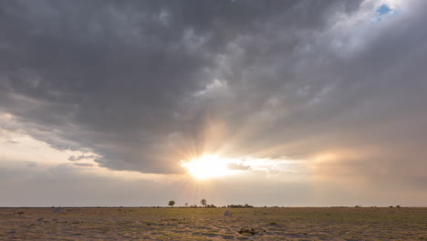stormy clouds with bright sun flares over the nxai pan national park with african animals walking in botswana