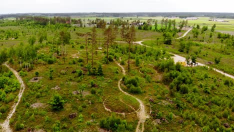 Circular-Barrows-And-Cists-At-The-Archaeological-Area-Of-Kamienne-Kręgi-Near-Lake-Lesno-Dolne-in-Poland