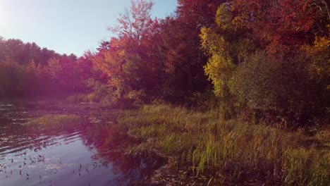 Una-Toma-Panorámica-Con-Un-Destello-De-Luz-Brillante-Sobre-Un-Lago-En-Maine