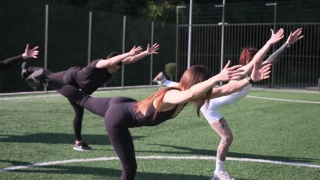 a vibrant group of women striking energetic exercise poses on artificial grass showcasing fitness. a vibrant group of women striking energetic exercise poses on artificial grass, showcasing fitness, movement, and team spirit in an outdoor training session
