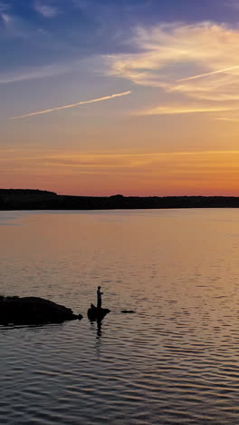 beautiful sunset is reflecting in the river. sunset lake landscape. colorful sky. vertical video