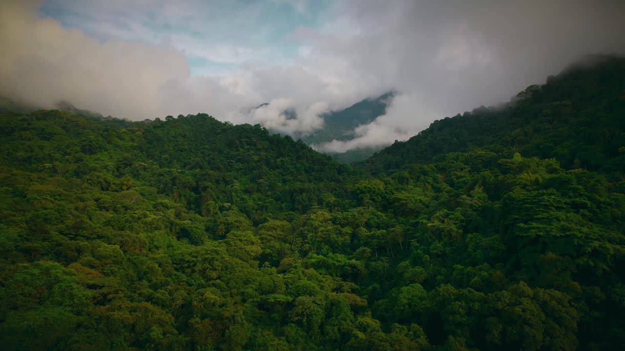 A smooth overhead shot of the Jungle located in Colombia. The elevation is emphasized by the clouds in the trees!