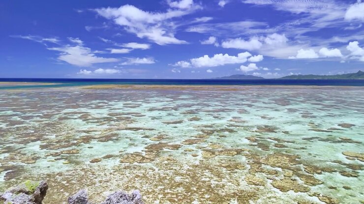 Orbita aerea bassa attorno a una formazione rocciosa calcarea unica che si erge al centro di una laguna corallina poco profonda e cristallina.