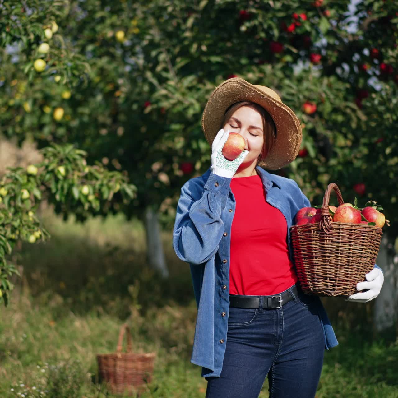 Sunny day in the garden on harvest season. Happy smiling lady with a full basket in hands tossing apple in the air playfully, smells it and puts back into basket