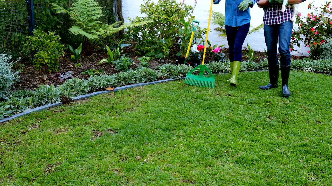 pareja con perro de mascota interactuando entre sí 4k