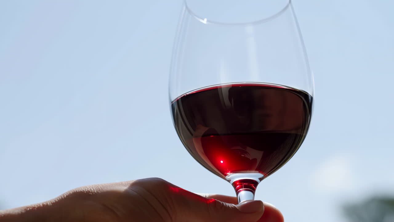 Mano che tiene un bicchiere di vino rosso contro un cielo sereno