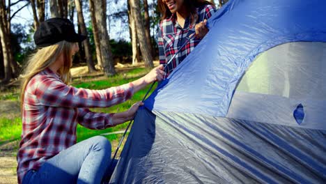 Friends-setting-up-tent-in-the-forest-on-a-sunny-day-4k
