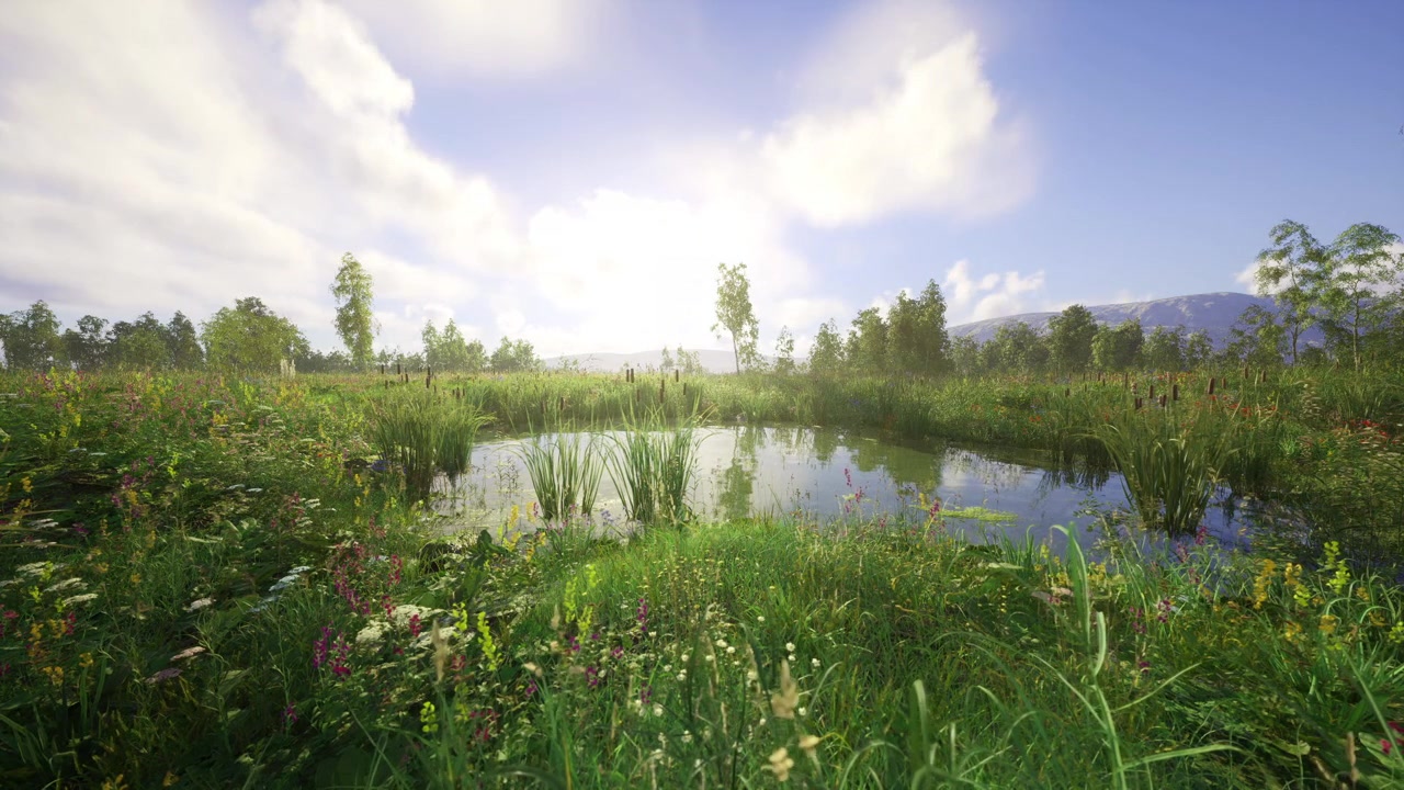 Serene water body mirrored by vibrant meadow and sunny skies