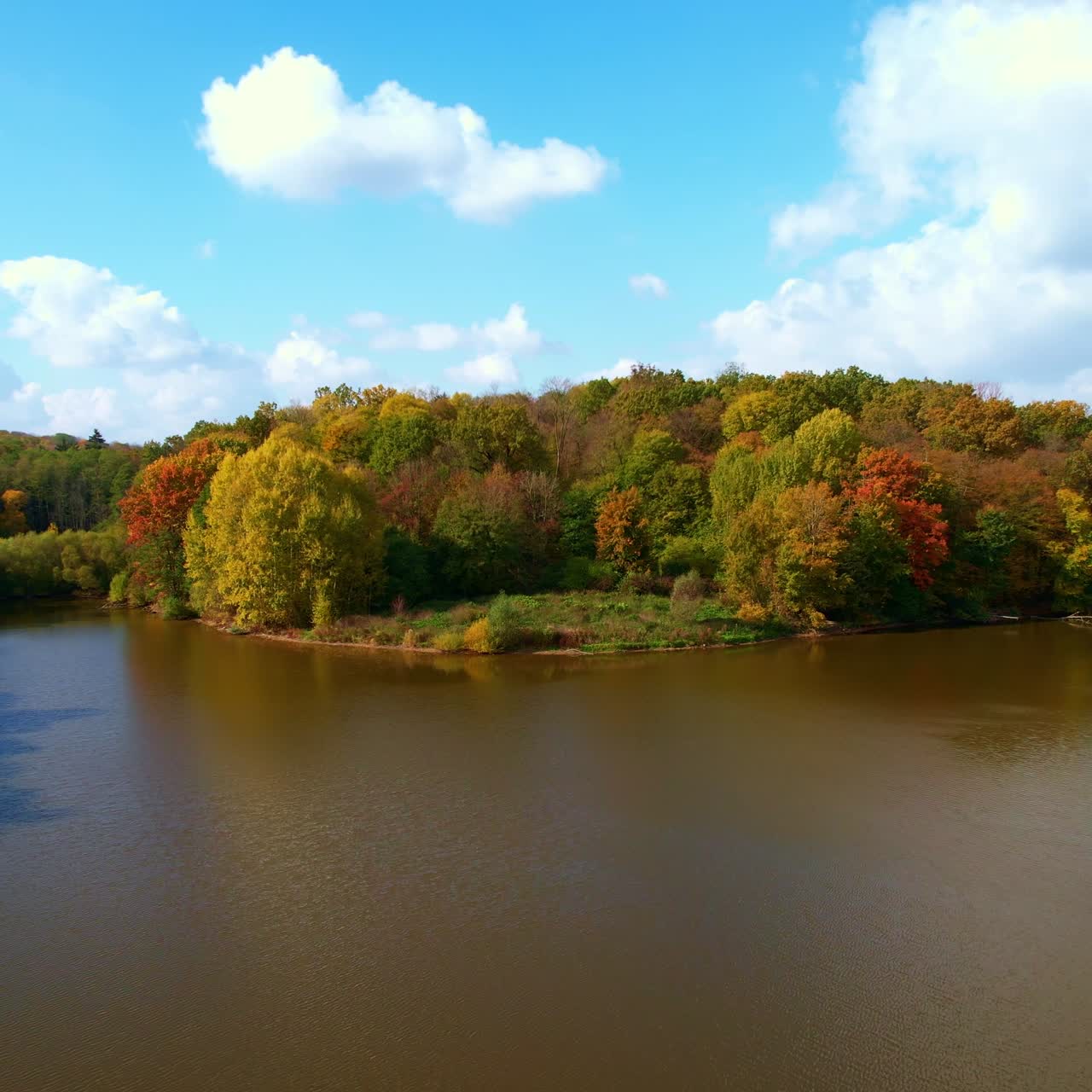 Brown river splitting into two branches watering the woods. Beautifully colored trees in the autumn forest on sunny day