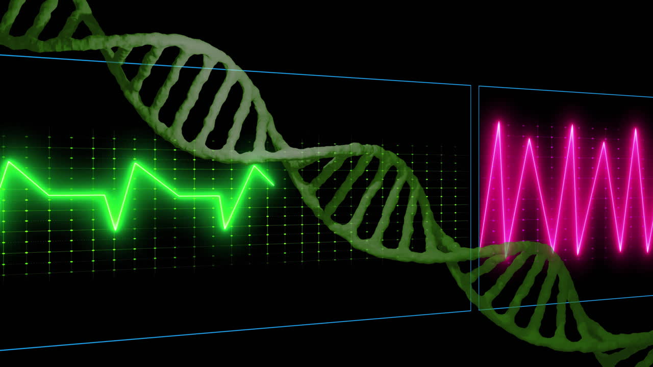 animación de cadena de adn sobre el monitor de latidos cardíacos con líneas verdes y rojas