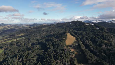 Establishing-Drone-Shot-of-Forest-Covered-Mountain,-Summertime-Switzerland