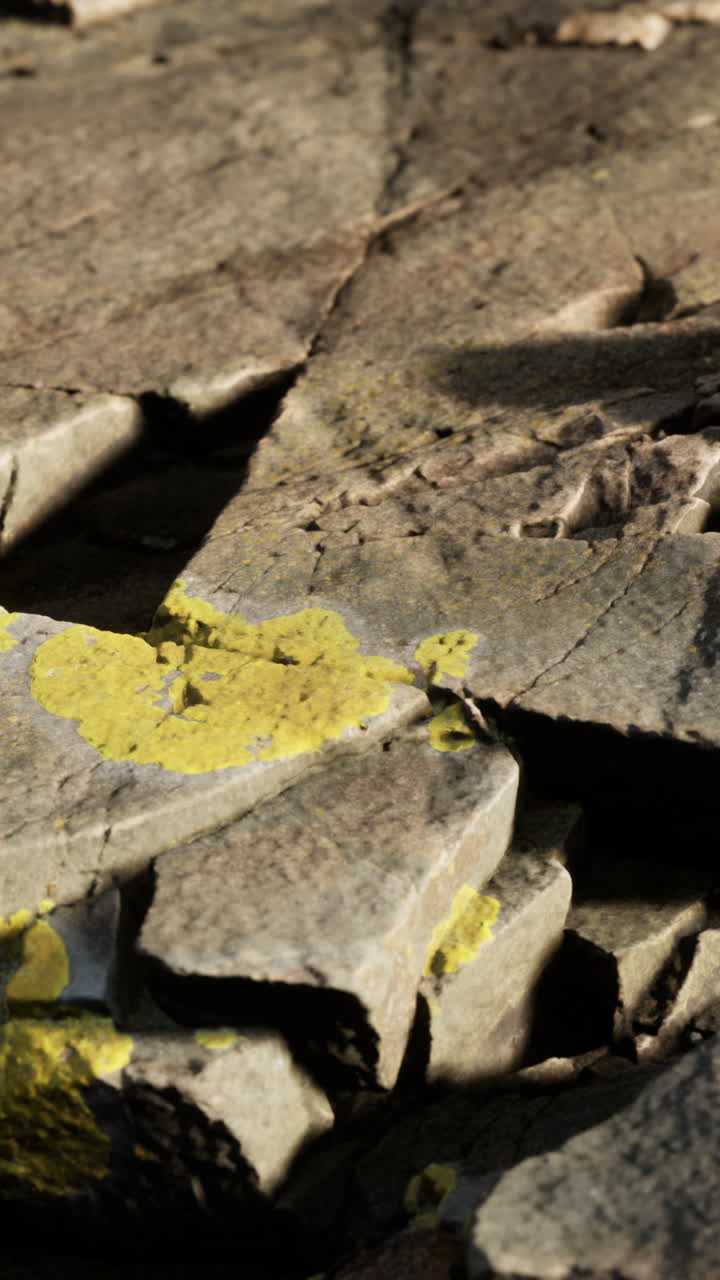 노란색 리이 있는 회색 바위의 클로즈업